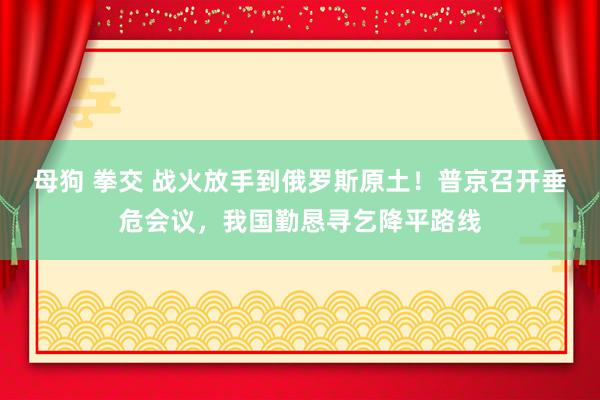 母狗 拳交 战火放手到俄罗斯原土！普京召开垂危会议，我国勤恳寻乞降平路线