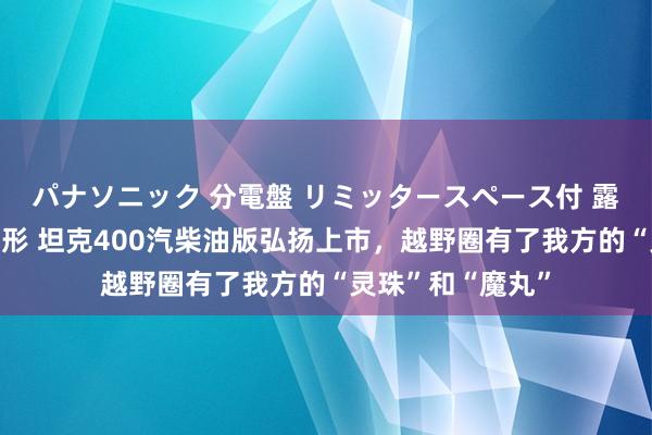 パナソニック 分電盤 リミッタースペース付 露出・半埋込両用形 坦克400汽柴油版弘扬上市，越野圈有了我方的“灵珠”和“魔丸”
