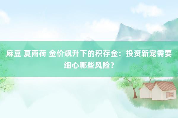 麻豆 夏雨荷 金价飙升下的积存金：投资新宠需要细心哪些风险？