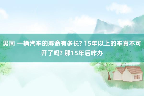 男同 一辆汽车的寿命有多长? 15年以上的车真不可开了吗? 那15年后咋办