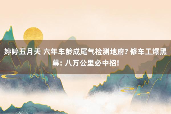 婷婷五月天 六年车龄成尾气检测地府? 修车工爆黑幕: 八万公里必中招!