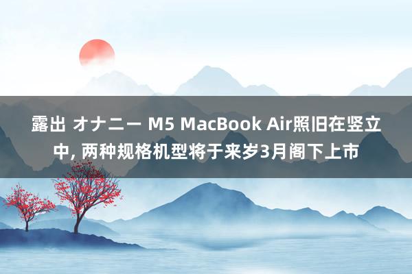 露出 オナニー M5 MacBook Air照旧在竖立中, 两种规格机型将于来岁3月阁下上市