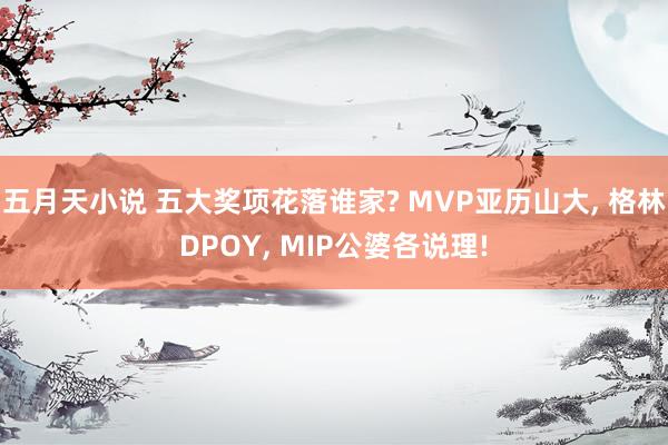 五月天小说 五大奖项花落谁家? MVP亚历山大, 格林DPOY, MIP公婆各说理!