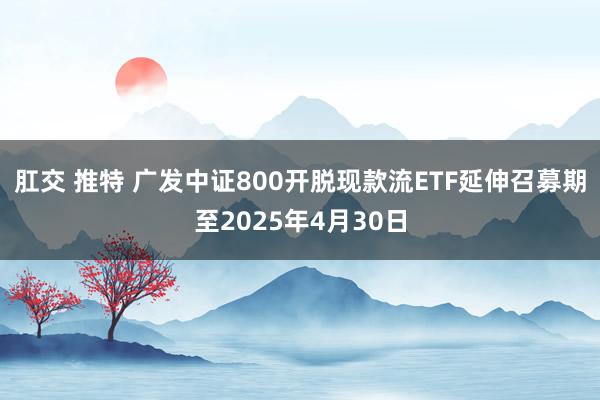 肛交 推特 广发中证800开脱现款流ETF延伸召募期至2025年4月30日