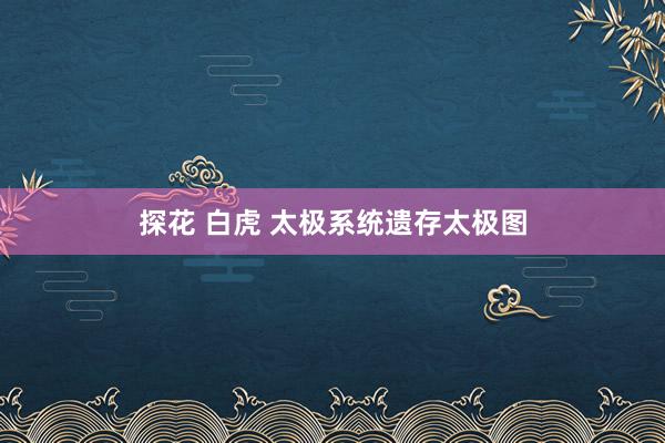 探花 白虎 太极系统遗存太极图